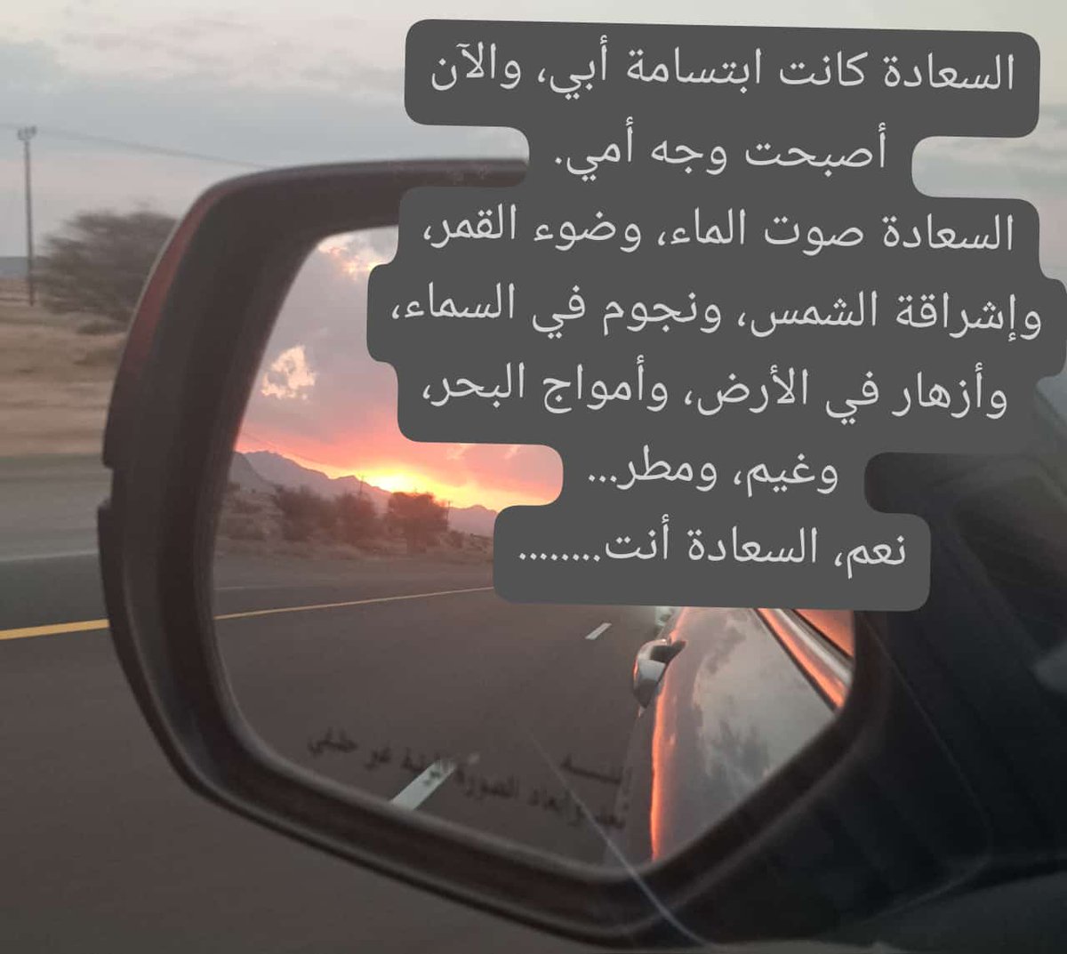 السعادة كانت ابتسامة أبي، والآن أصبحت وجه أمي.
السعادة صوت الماء، وضوء القمر، وإشراقة الشمس، ونجوم في السماء، وأزهار في الأرض، وأمواج البحر، وغيم، ومطر...
نعم، السعادة أنت....