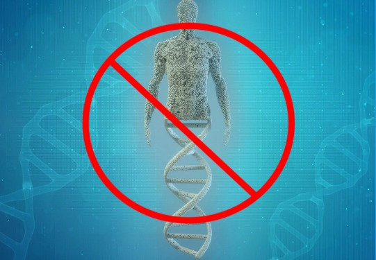 naoquerolevanta's tweet image. Mentiram pra você
seus genes não vão determinar o que você é, ou o que será,
vc não tem o gene da inteligencia, altura ou do alcoolismo,
O DNA NÃO É O MOLDE DE UM ORGANISMO
um fio grande sobre como a genética moderna opera e explicando a obsolescência do determinismo genético+🧵