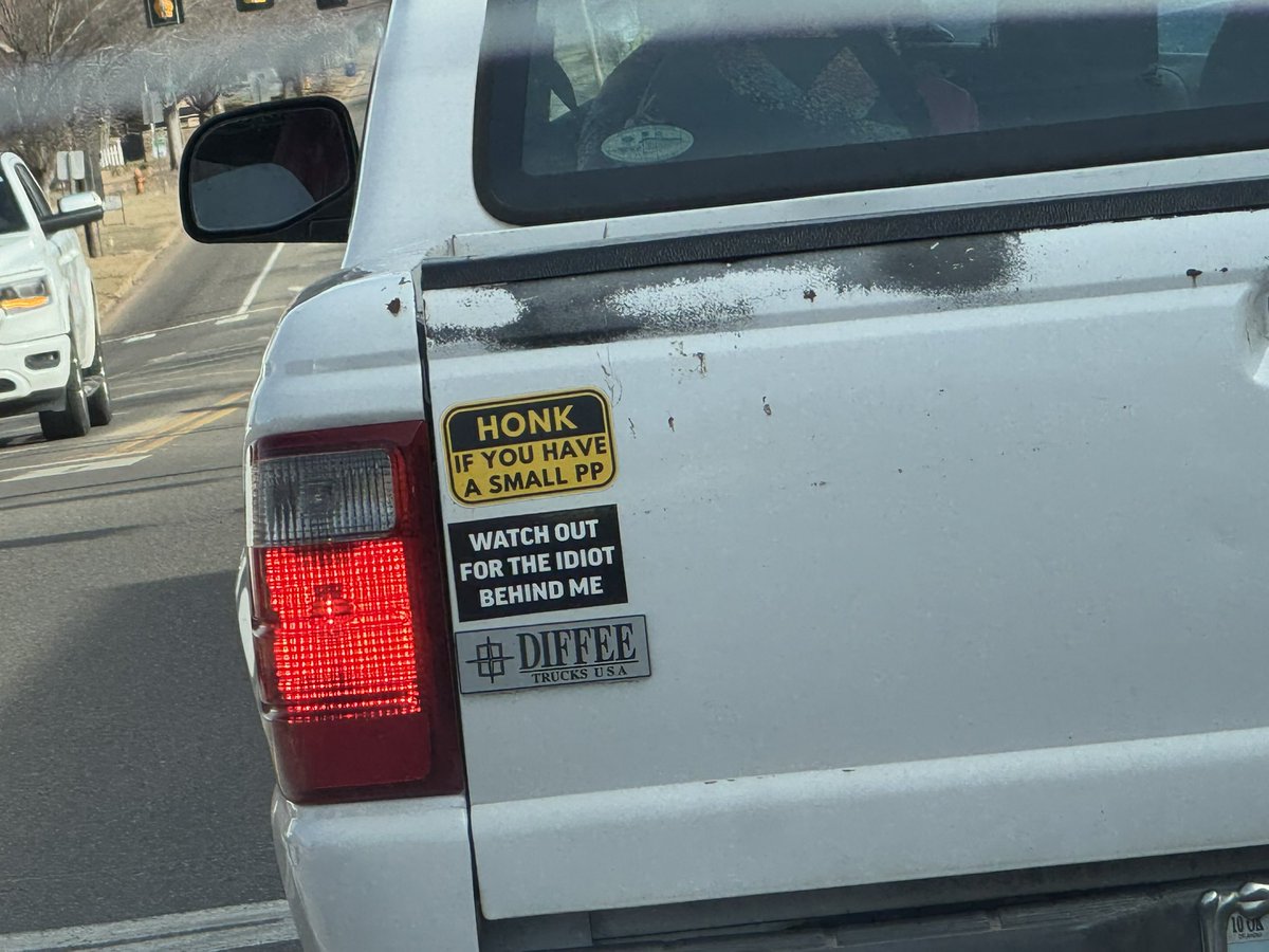 Should I honk???