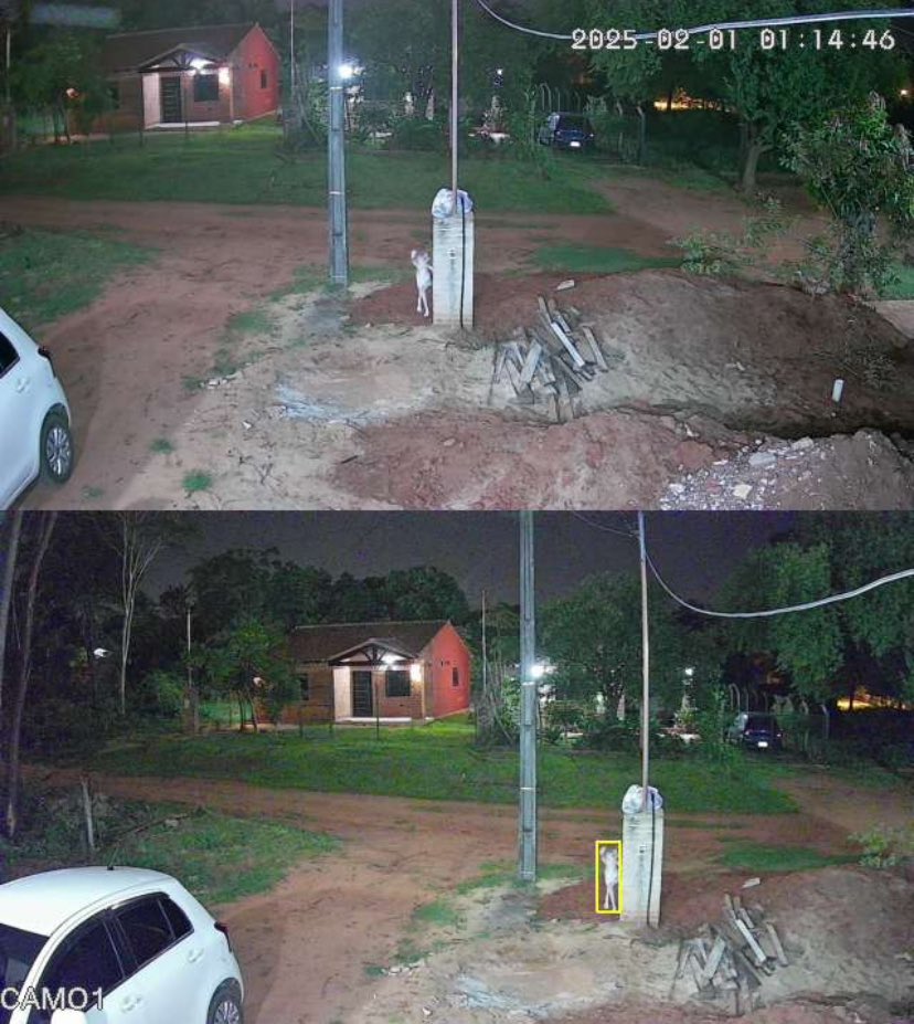Que alguien me explique que fue lo q captó mi cámara