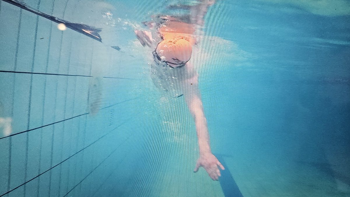 GreenlightPT tweet media