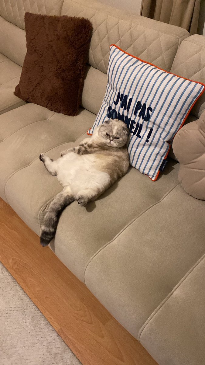 Koltuğa dökülen yayık ayran