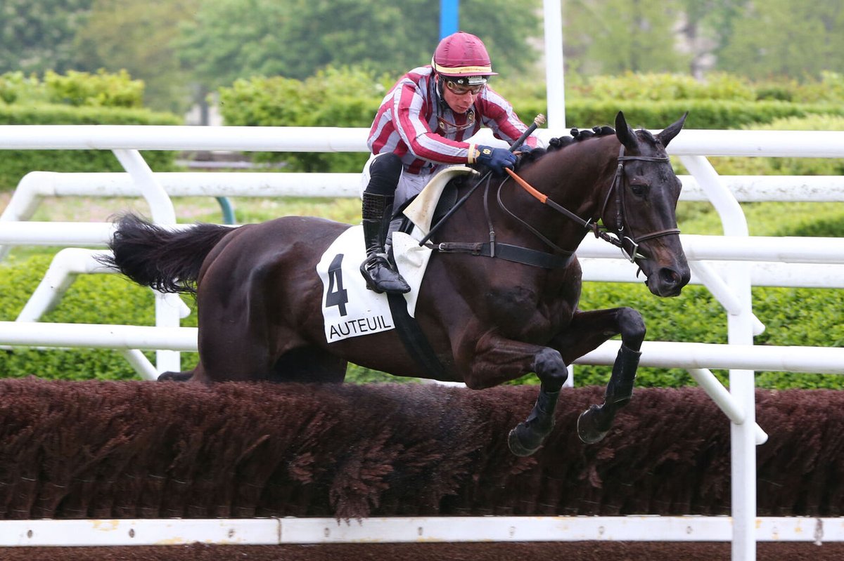 ☑️ Goliath du Rheu devrait retrouver la compétition rapidement après une année 2024 blanche.

Le pensionnaire de <a href="/EcurieNicolle/">Ecurie Nicolle</a> est engagé lundi en haies et en steeple à Auteuil.

Un vrai beau cheval d'Auteuil !