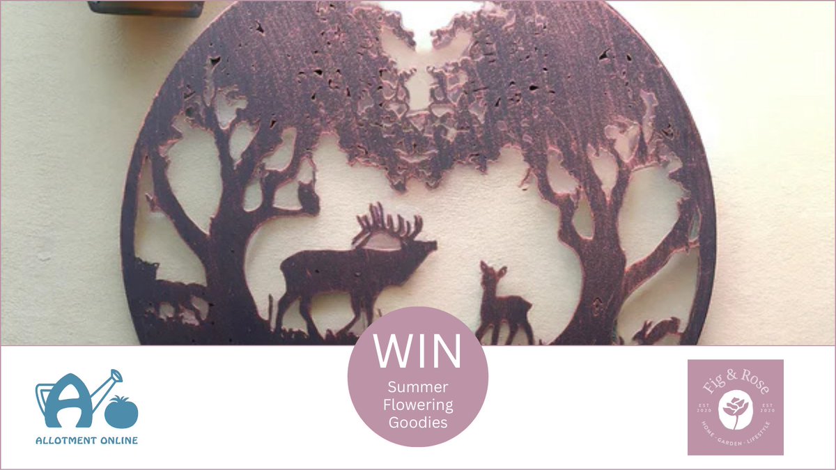 Enter for a chance to win this lovely Metal Garden Plaque worth £50!  Please follow us, 💝 like our post, tag someone who would love to win this great prize and share the post across your socials 💝💝
tinyurl.com/4v8ykwnh

#win #competition #growyourown #garden #allotmentuk