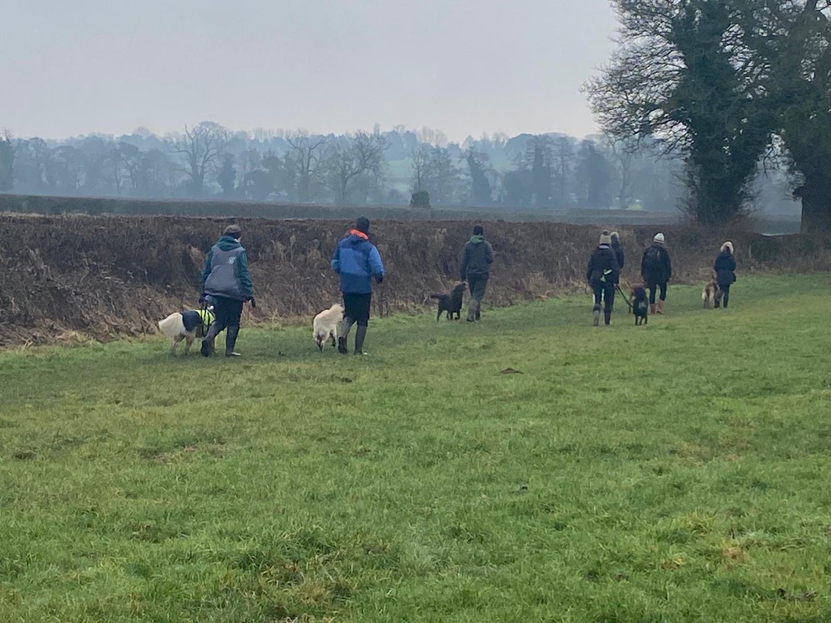 kitteridge_lisa's tweet image. A very muddy group neutral dog walk.

Luca was far from perfect, still reactions if we got too close or a dog dared to look at him, but lots of positive learning for us both &amp;amp; reducing his tolerance distance gradually.

Building new neural pathways, 1 step at a time.
#reactivity