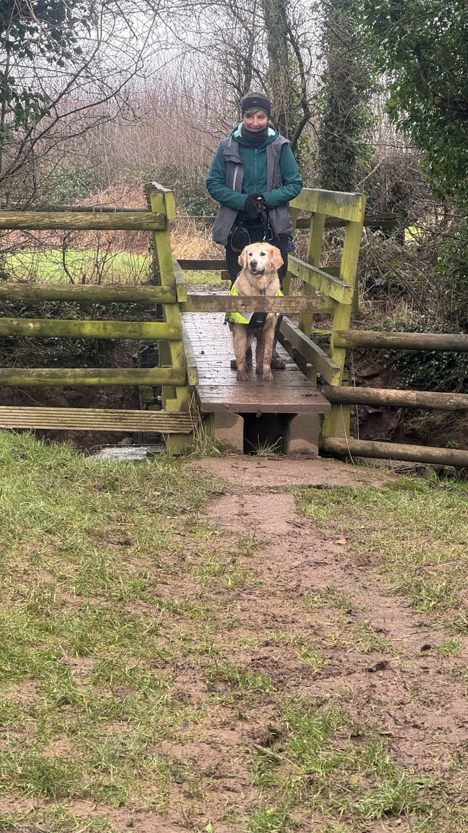 kitteridge_lisa's tweet image. A very muddy group neutral dog walk.

Luca was far from perfect, still reactions if we got too close or a dog dared to look at him, but lots of positive learning for us both &amp;amp; reducing his tolerance distance gradually.

Building new neural pathways, 1 step at a time.
#reactivity