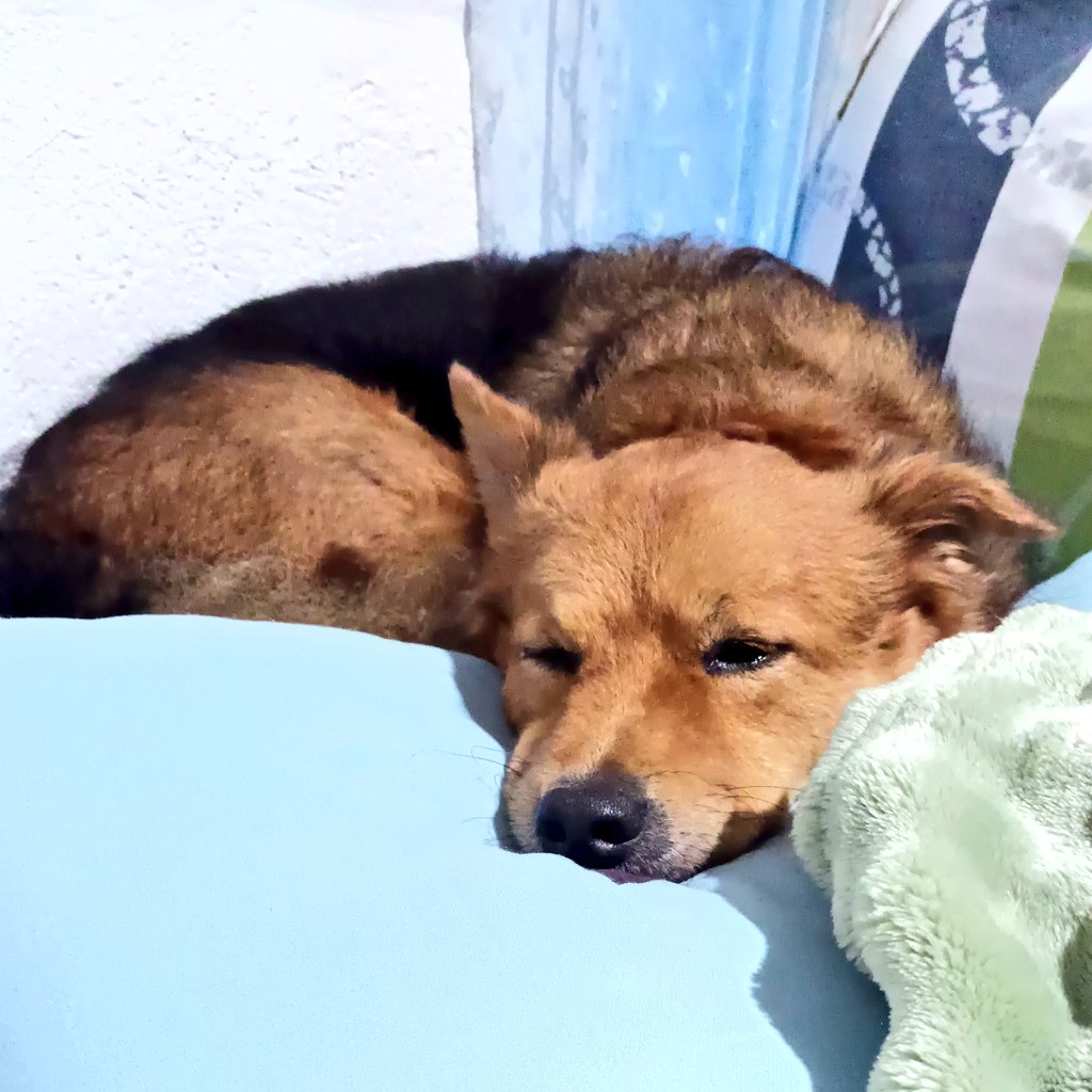 anjiebong's tweet image. “Life does not have to be perfect to be wonderful.” —Annette Funicello
#itmatters #brewed