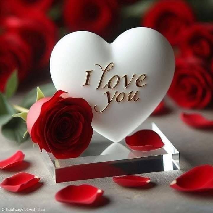 #صورة_ملف_شخصي_جديدة