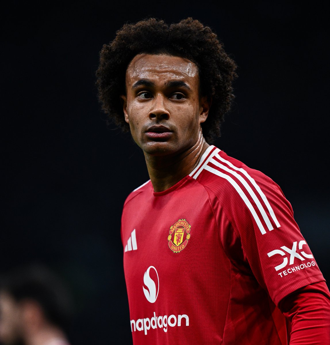 utdreport's tweet image. Ruben Amorim: "I think Josh [Zirkzee] is not a clear [number] nine, he played more as a 10 [attacking midfielder]. He’s stronger physically, he’s thinner, he’s working really hard, and he plays in a better position for him. He’s improving, he’s winning more duels and he’s even…