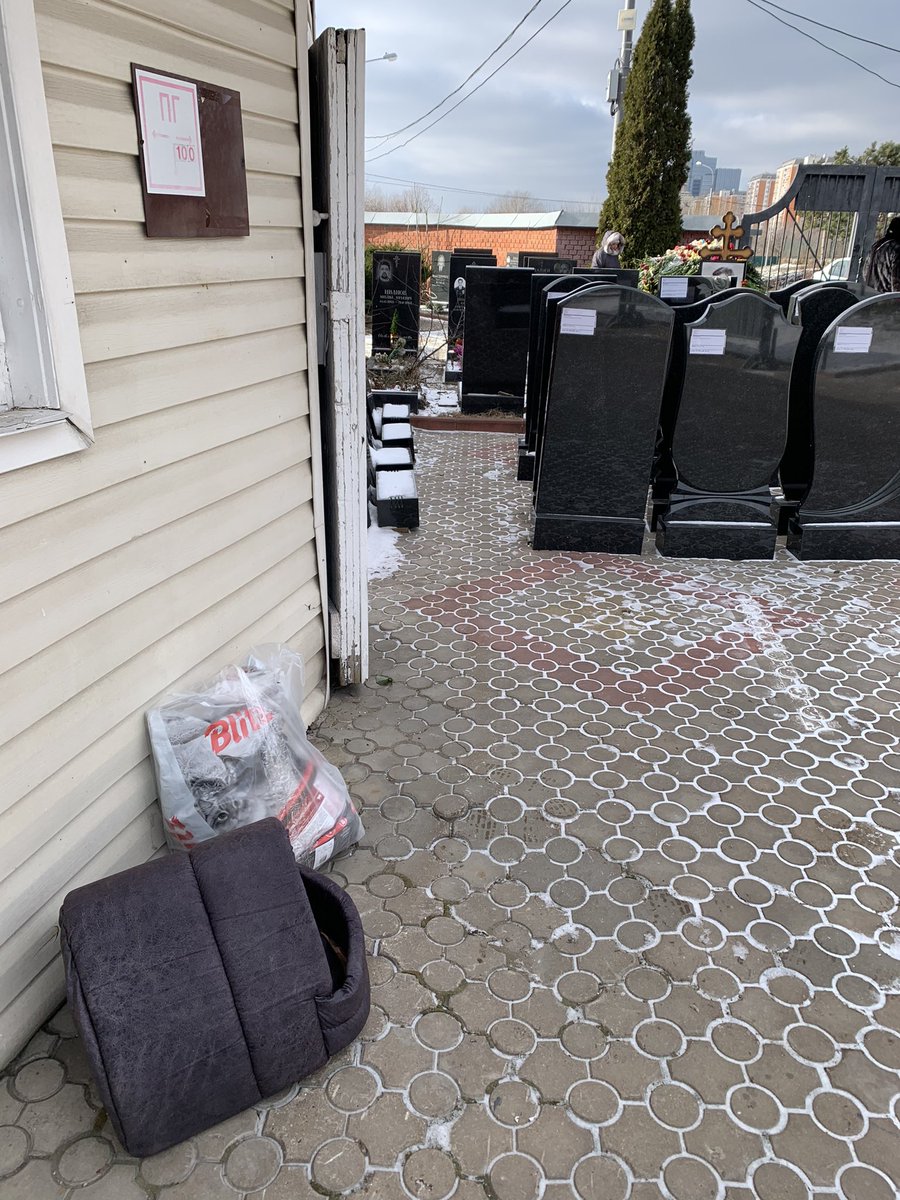 🐱 Отнесла от нас подарки Футураме.

Работники смеясь рассказали как она недавно около церкви забежала в трапезную и украла кусок курицы 😁

Она сыта,есть теплые домики(теперь два) стерилизована и обработана от паразитов. Она живёт на этом кладбище уже многие годы,её очень любят.