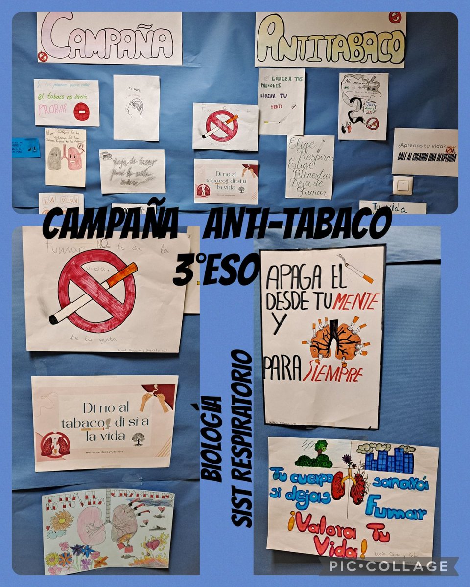 Biología 3°ESO 
CAMPAÑA ANTI TABACO 
Trabajamos aparato respiratorio desde todos los puntos.
#fest #colegiosanjuangarcía  #contigocambiatodo