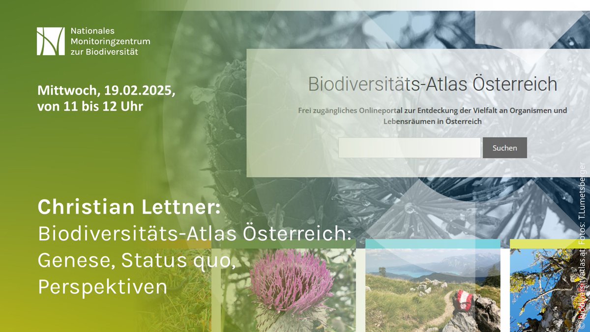 Am Mittwoch wird die Bedeutung des Biodiversitäts-Atlas Österreich im kostenlosen Online-Vortrag vorgestellt. Diskutieren Sie mit. Hier anmelden: bfn-event.webex.com/webappng/sites… @BMUV <a href="/NABU_de/">NABU 🦤</a> <a href="/bund_net/">BUND</a> <a href="/geobiodiversity/">Senckenberg Research</a> #biodiversität #atlas #Austria #bfn #onlinevortrag #monitoring