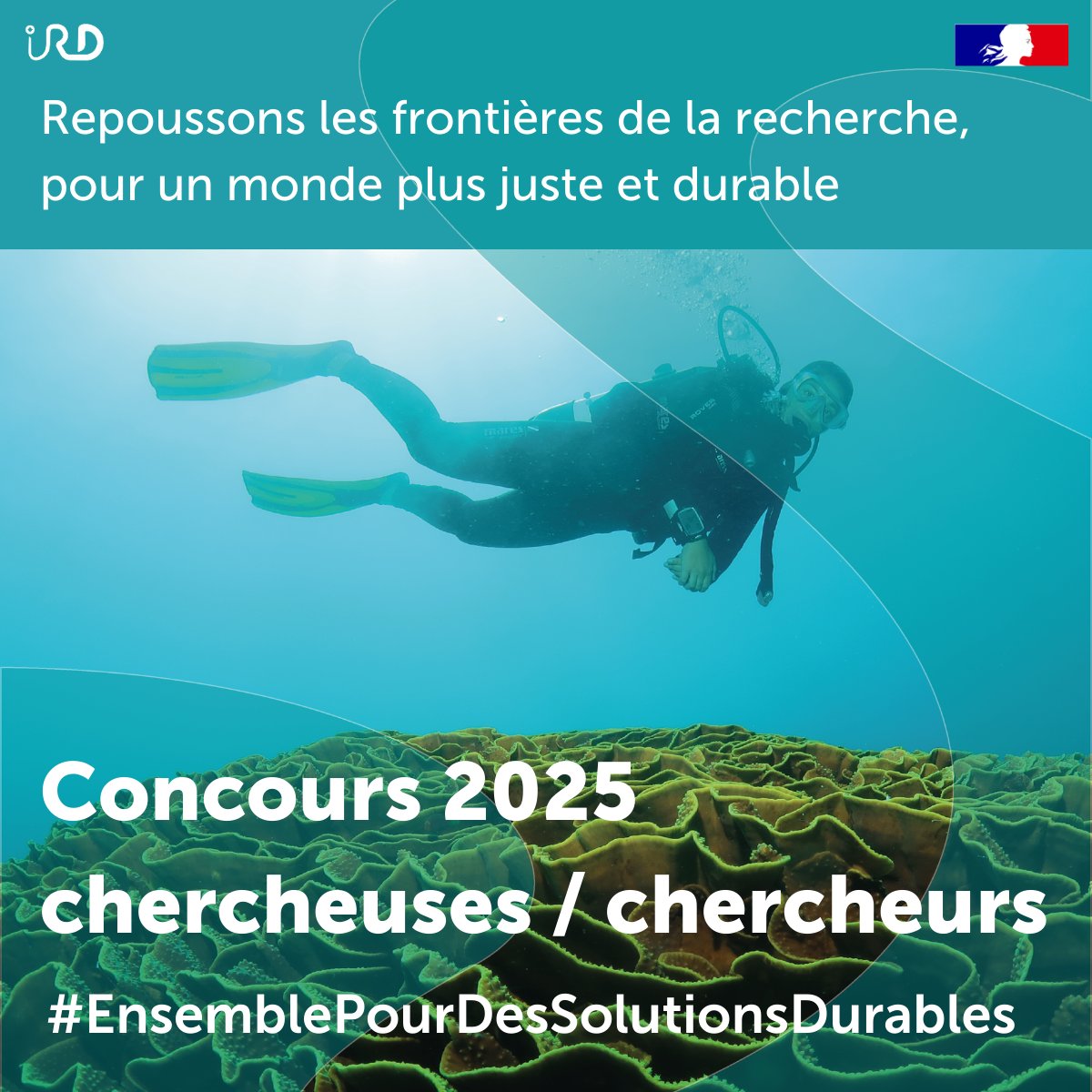 #IRDEmploi | 📣 Le concours chercheuses et chercheurs IRD 2025 est ouvert !

Cette année, l'IRD propose :
🔴 18 postes de directeurs de recherche
🔴 25 postes de chargés de recherche

🗓️ Candidatures ouvertes jusqu'au 11/03

👉 +d'infos : ird.fr/concours-cherc…