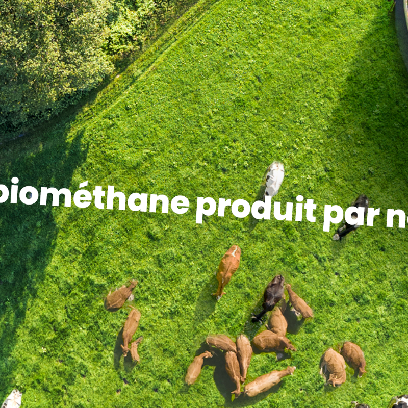 natrangroupe's tweet photo. Nous mettons toute notre énergie à faire évoluer notre réseau pour acheminer les gaz renouvelables dans les territoires et mettre demain la transition énergétique à la portée de tous.

Pour avoir l’énergie de réinventer l’énergie, GRTgaz se transforme et devient NaTran.