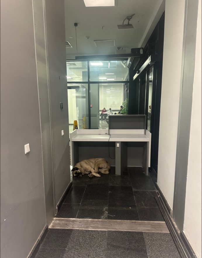 Bir takipçimiz bizimle 16 Şubat İzmir şehir hastanesi acil erişkin girişinden görüntüler paylaştı. 

"Hem danışman hem oradaki güvenlikler uyarmama rağmen bir şey yapamayız dediler. Resimlerini çektim, pek kimsenin umurunda olmadı açıkçası." diyor. 

<a href="/sagliklicozum/">T.C. Sağlık Bakanlığı Sağlıklı Çözüm</a>