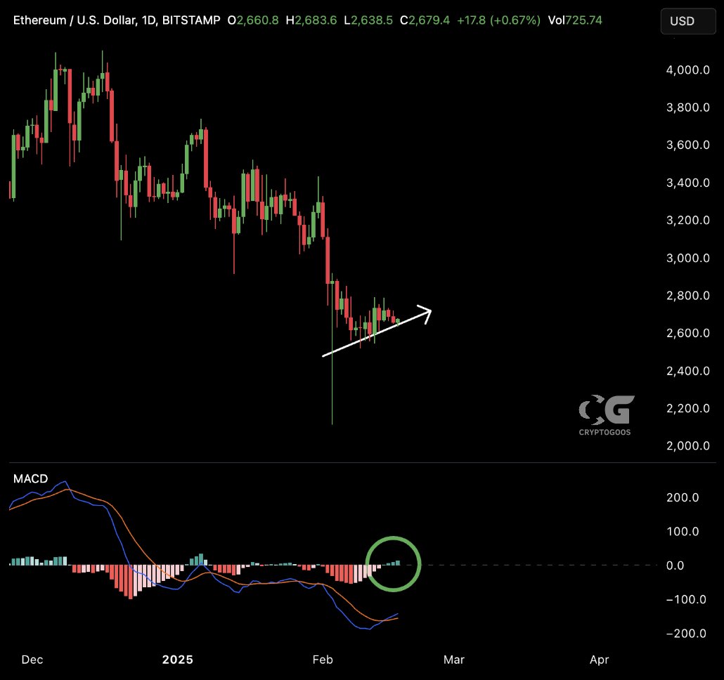 cryptogoos's tweet image. MASSIVE $ETH BUY SIGNAL IS FLASHING!🚨