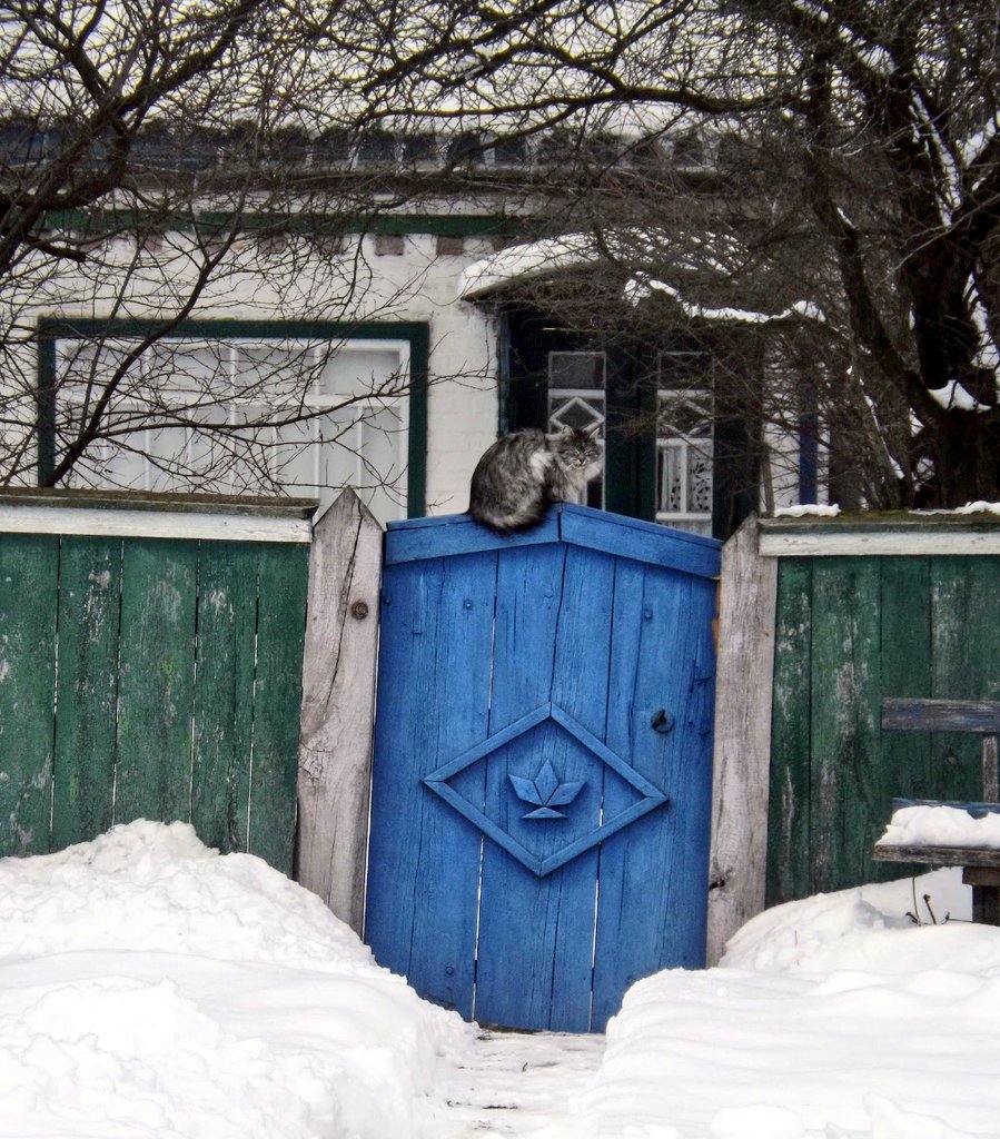 Сім глеків сикери tweet media