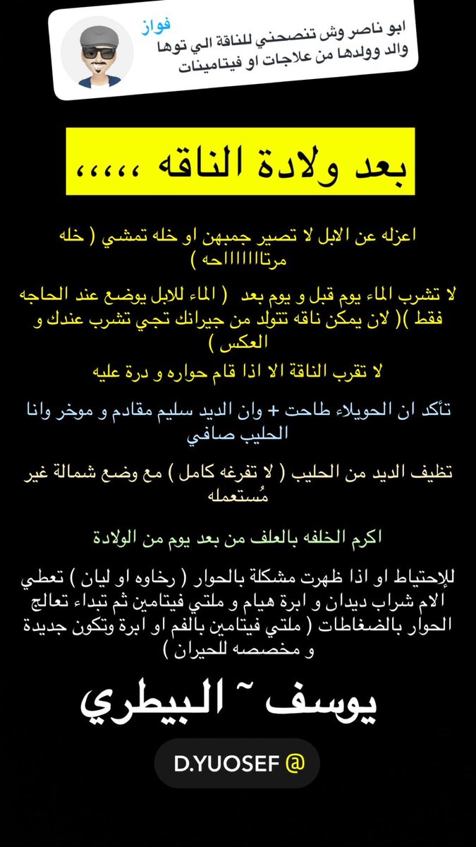 💡 للإبل ،،،