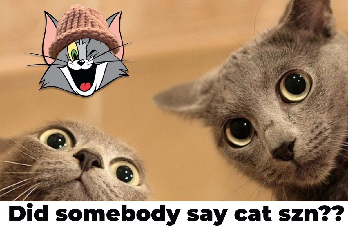 Did somebody say cat szn?? 🐱🚀 The $TWIF takeover is just getting started!

 #CatSeason #TWIF #memecoin