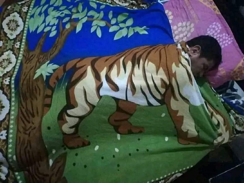 𝘾𝙤𝙧𝙧𝙞𝙙𝙤𝙨 & 𝘽𝙖𝙣𝙙𝙖𝙨 tweet media