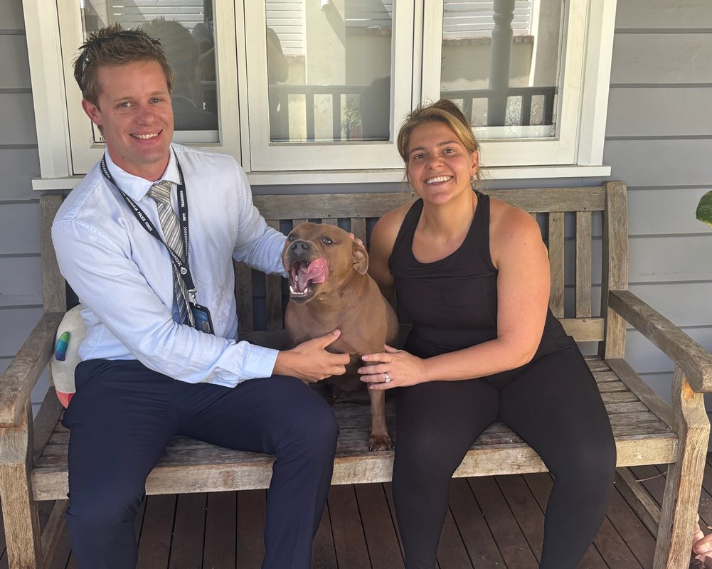 Cannington RHHOR team with the publics assistance recovered Bruce the staffy after being stolen during a burglary. The 54 year old male offender from St James was remanded in custody and will appear in the Perth Courts later this month. #fb