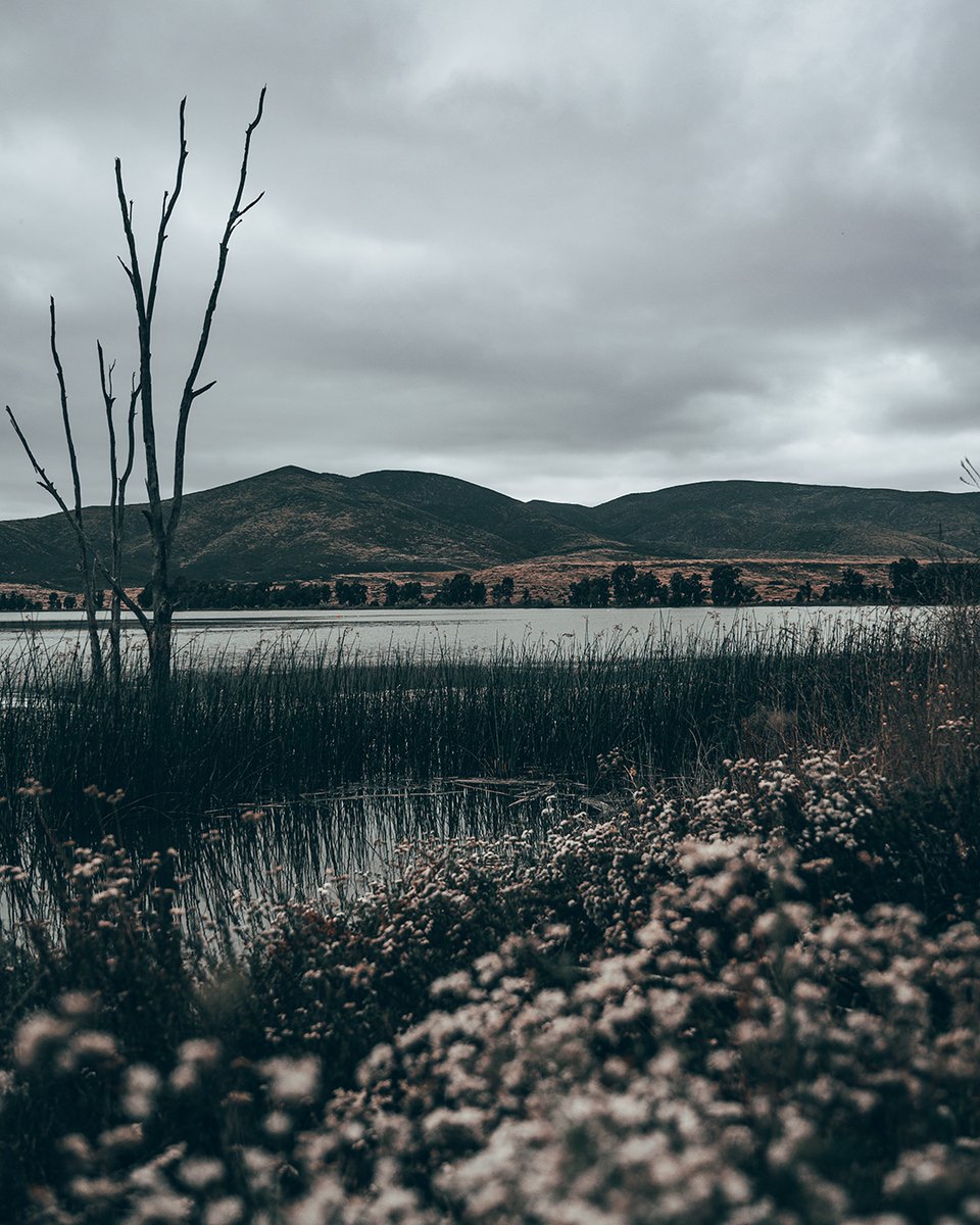 I have not been up to Otay Lakes since we had the fires. I need to make a trip up there. #chulavista