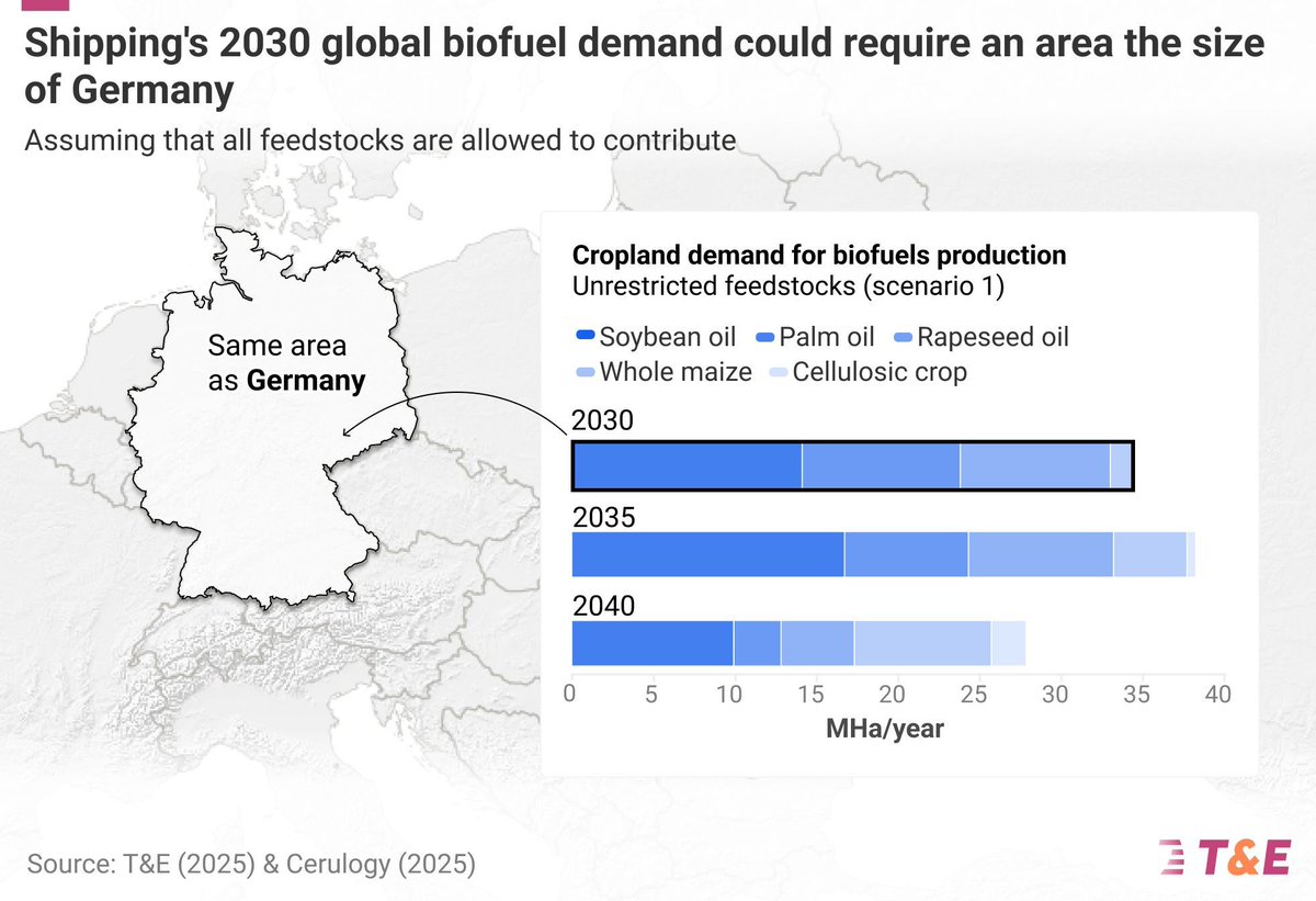 NEW: The UN shipping body’s green fuels law could worsen the sector’s climate impact as plans being drafted at the <a href="/IMOHQ/">International Maritime Organization</a> risk creating a huge new market for deforestation-driving biofuels like palm and soy.

Read the report ➡️ transportenvironment.org/articles/imo-f…