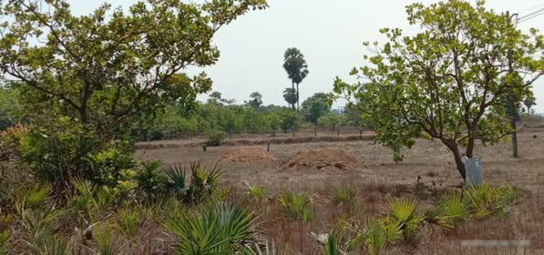 MizzimaNews's tweet photo. သာဂရမြို့ဟောင်း မြို့ရိုးဖြိုချပြီး မြေကွက်ရိုက်မှု ရပ်တန့်ရန် တနင်္သာရီတိုင်းပကဖနှင့် တော်လှန်ရေးအဖွဲ့များသတိပေး
#mizzima
#Burmese
#today
#news
#သာဂရမြို့ဟောင်း
#တနင်္သာရီတိုင်းပကဖ
#DDMSC
#DNLA
#ဗထူးတပ်မတော်
Website Link >> https://t.co/u1tM00MAxa https://t.co/mZlhX4j7Xr