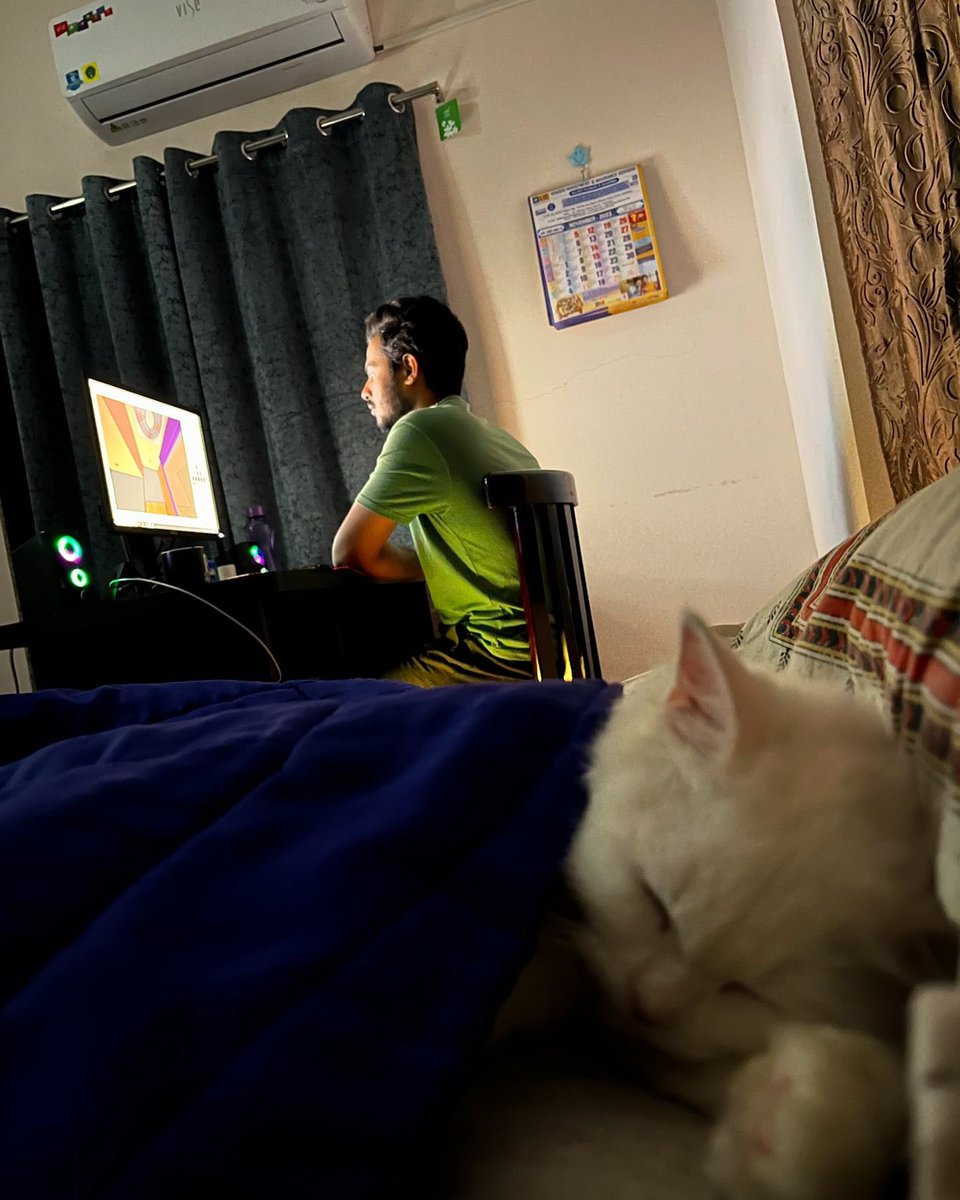 The Cats 𝕏 tweet media