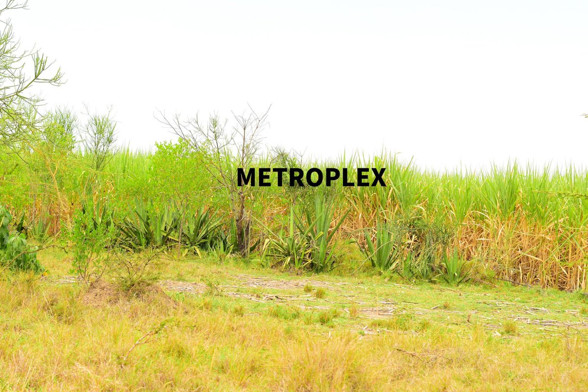 MetroplexPrope1's tweet photo. 𝐓𝐑𝐀𝐍𝐒𝐅𝐎𝐑𝐌 𝐘𝐎𝐔𝐑 𝐅𝐔𝐓𝐔𝐑𝐄 𝐖𝐈𝐓𝐇 𝐓𝐇𝐈𝐒 𝟏𝟎 𝐀𝐂𝐑𝐄 𝐇𝐈𝐆𝐇𝐋𝐘 𝐀𝐑𝐀𝐁𝐋𝐄 𝐋𝐀𝐍𝐃 𝐅𝐎𝐑 𝐒𝐀𝐋𝐄 𝐈𝐍 𝐊𝐀𝐏𝐒𝐎𝐑𝐎𝐊📷!
📷Neigbours Industrial park, Hen Hatchery
📷Fully fenced
📷Ready Title Deed
📷Selling at Ksh 6,500,000/= (6.5m) 
📷Call 0704123768 https://t.co/Z3GcERIuev