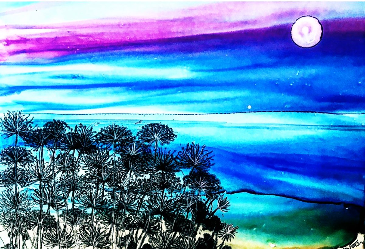 Theresa Fitton tweet media