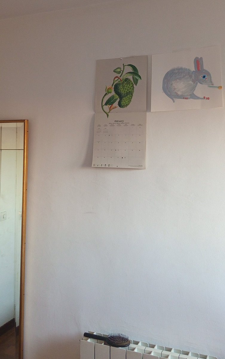 se mha comido el cable de la nintendo 🔪