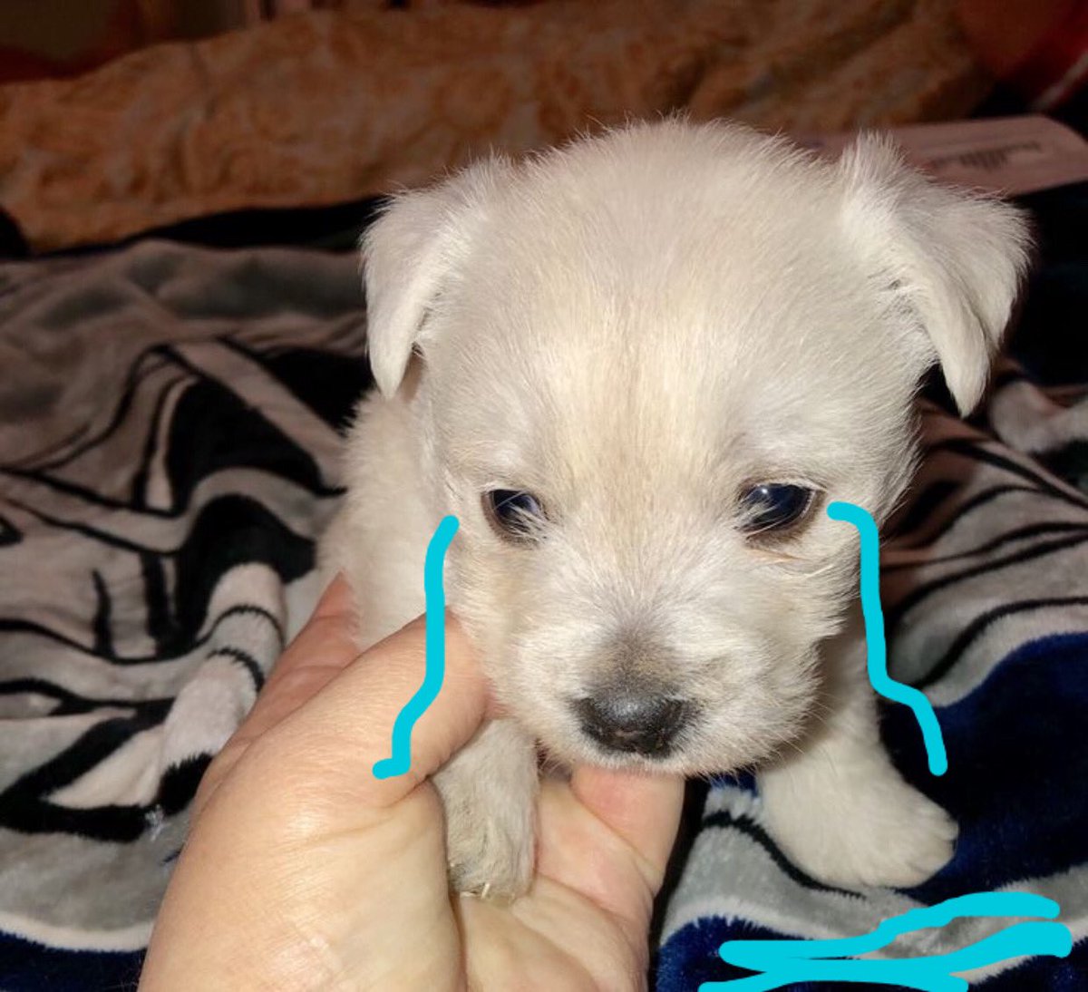 ถ้าเธอแค่เง๋าปาก อย่าหลอกคนเง๋าใจ