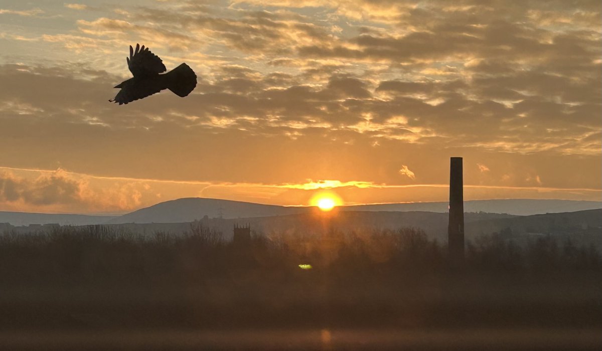 ⁦<a href="/ChadWeather/">Oldham Weather</a>⁩ photo bombed 😂
