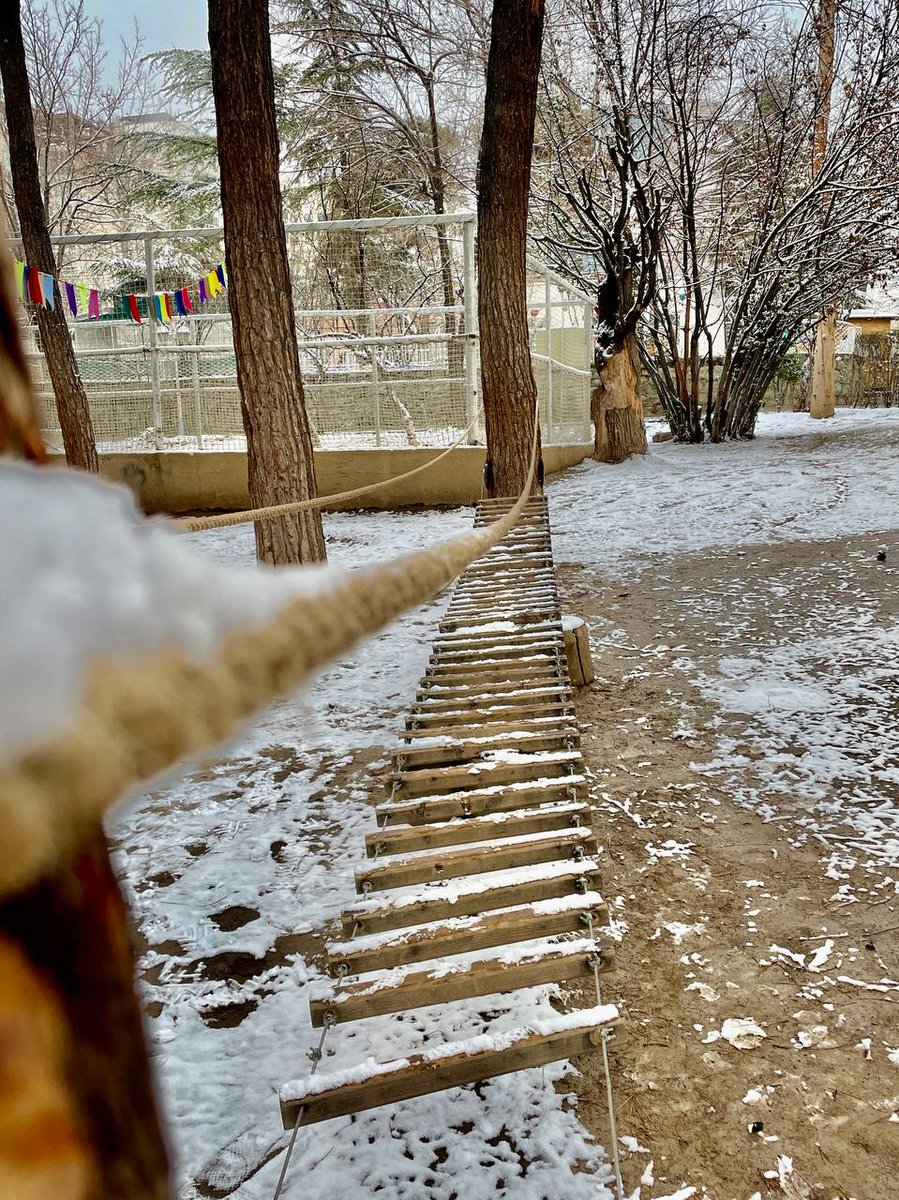 hayatgroup__ir's tweet image. فرصت کشف طبیعت توی فصل‌های مختلف و آب و هوای متنوع رو به بچه‌ها بدیم.
توی همین موقعیت‌هاست که بچه‌ها رشد می‌کنن و #تاب‌آوری بیشتری کسب می‌کنن...