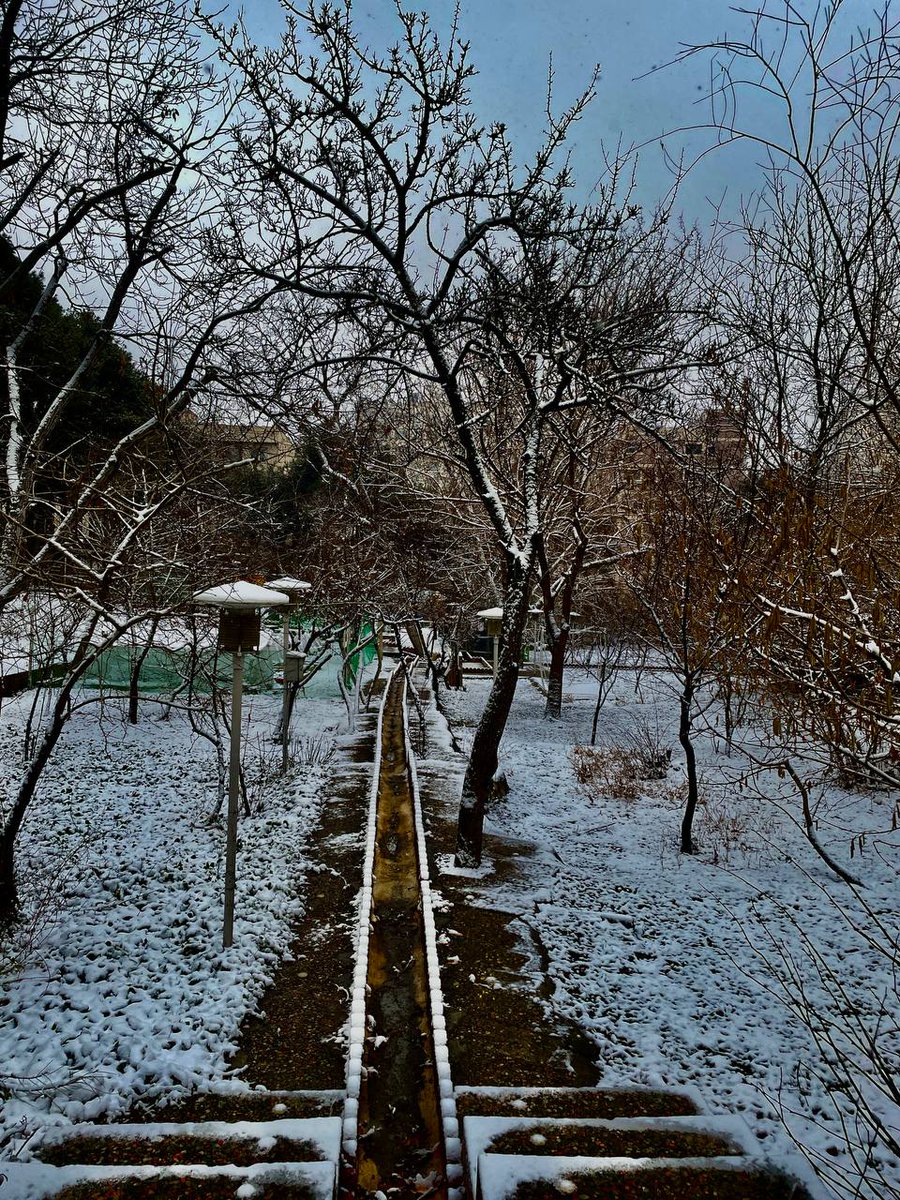 hayatgroup__ir's tweet image. فرصت کشف طبیعت توی فصل‌های مختلف و آب و هوای متنوع رو به بچه‌ها بدیم.
توی همین موقعیت‌هاست که بچه‌ها رشد می‌کنن و #تاب‌آوری بیشتری کسب می‌کنن...