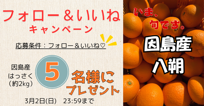 はっさく♡様　パック×30 はっさく♡様パック×30