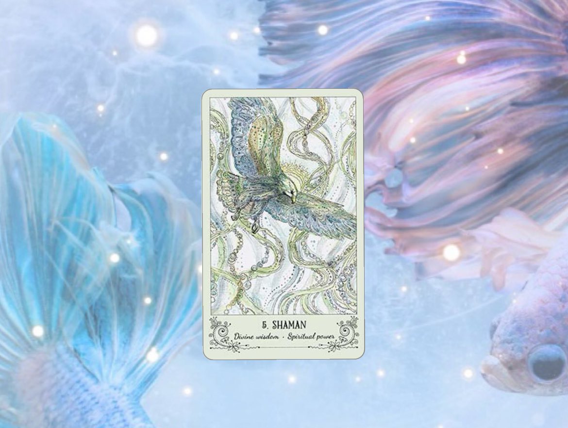 TAROTIVA 🏺 ♄ tweet media