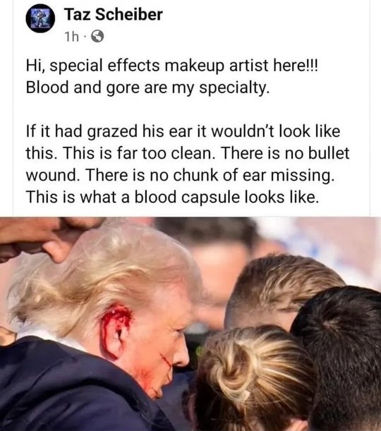 Britt Nessie (@democraticdaisy) on Twitter photo 