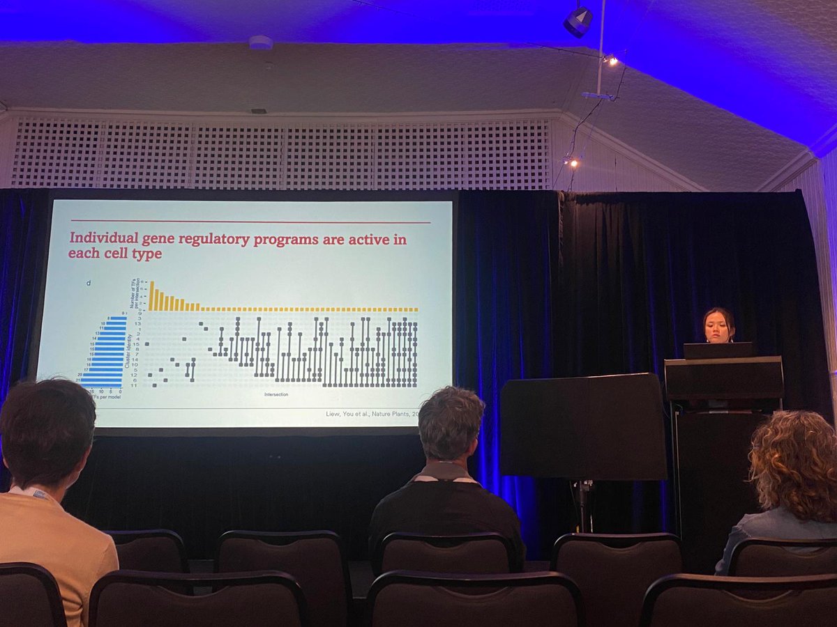 Lim Chee Liew 刘玲志 (@limcheeliew) on Twitter photo Thrilled and proud to present my talk on seed germination! 🌱✨ At <a href="/GenomeConf/">LorneGenomeConferenc</a> Excited to share insights and inspire others about the fascinating process of life from seed. #SeedGermination #PlantScience #SustainableFuture #GreenThumb Thrilled and proud to present my talk on seed germination! 🌱✨ At <a href="/GenomeConf/">LorneGenomeConferenc</a> Excited to share insights and inspire others about the fascinating process of life from seed. #SeedGermination #PlantScience #SustainableFuture #GreenThumb
