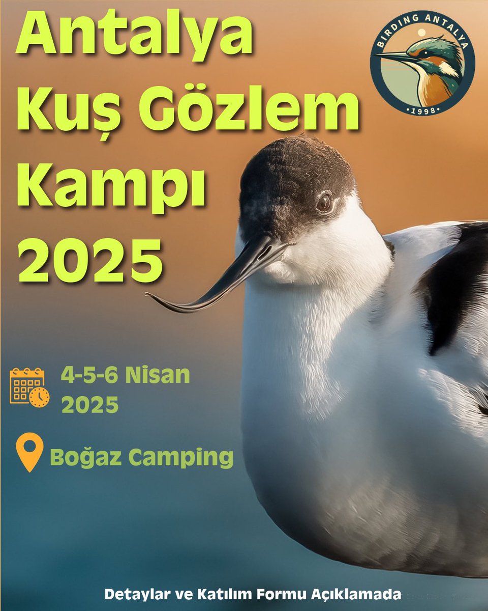📢 Antalya Kuş Gözlem Kampı 2025 Kayıtları Açıldı!

4-5-6 Nisan 2025 tarihlerinde Antalya’da 3 gün 2 gece sürecek kuş gözlem kampımıza katılmak isteyen herkesi bekliyoruz! 🦜📸

📍 Tarih: 4-5-6 Nisan 2025
📍 Konum: Antalya – Boğaz Camping

Kamp boyunca kuş gözlemi yapacak, doğada