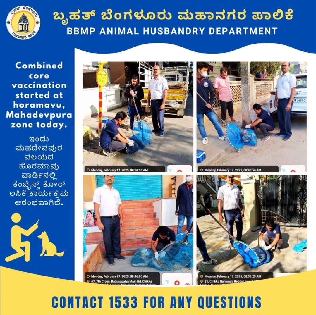 Bruhat Bengaluru Mahanagara Palike (@bbmpofficial) on Twitter photo Combined core vaccination program for street dogs conducted in #Mahadevapura, #Yelahanka, #South and #Dasarahalli zone.
#BBMP #BBMPCares #doglover #DKShivakumar #bbmpchiefcommissioner
<a href="/BBMPCOMM/">Maheshwar Rao.M, IAS</a> <a href="/BBMPSplHealth/">Suralkar Vikas Kishor, IAS</a> <a href="/BBMP_AHD/">Bbmp.animalhusbandry</a> Combined core vaccination program for street dogs conducted in #Mahadevapura, #Yelahanka, #South and #Dasarahalli zone.
#BBMP #BBMPCares #doglover #DKShivakumar #bbmpchiefcommissioner
<a href="/BBMPCOMM/">Maheshwar Rao.M, IAS</a> <a href="/BBMPSplHealth/">Suralkar Vikas Kishor, IAS</a> <a href="/BBMP_AHD/">Bbmp.animalhusbandry</a>