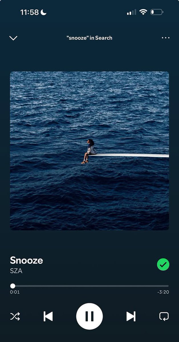 Why use Spotify when Apple Music exist??