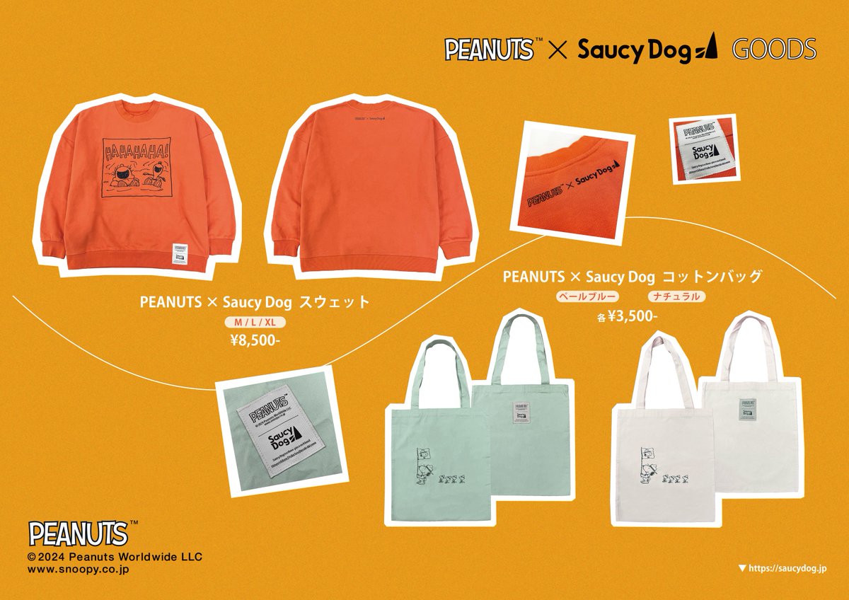本日2/19(水)は、Zepp Haneda(TOKYO)にて 「Saucy Dog 5 ヶ月連続対