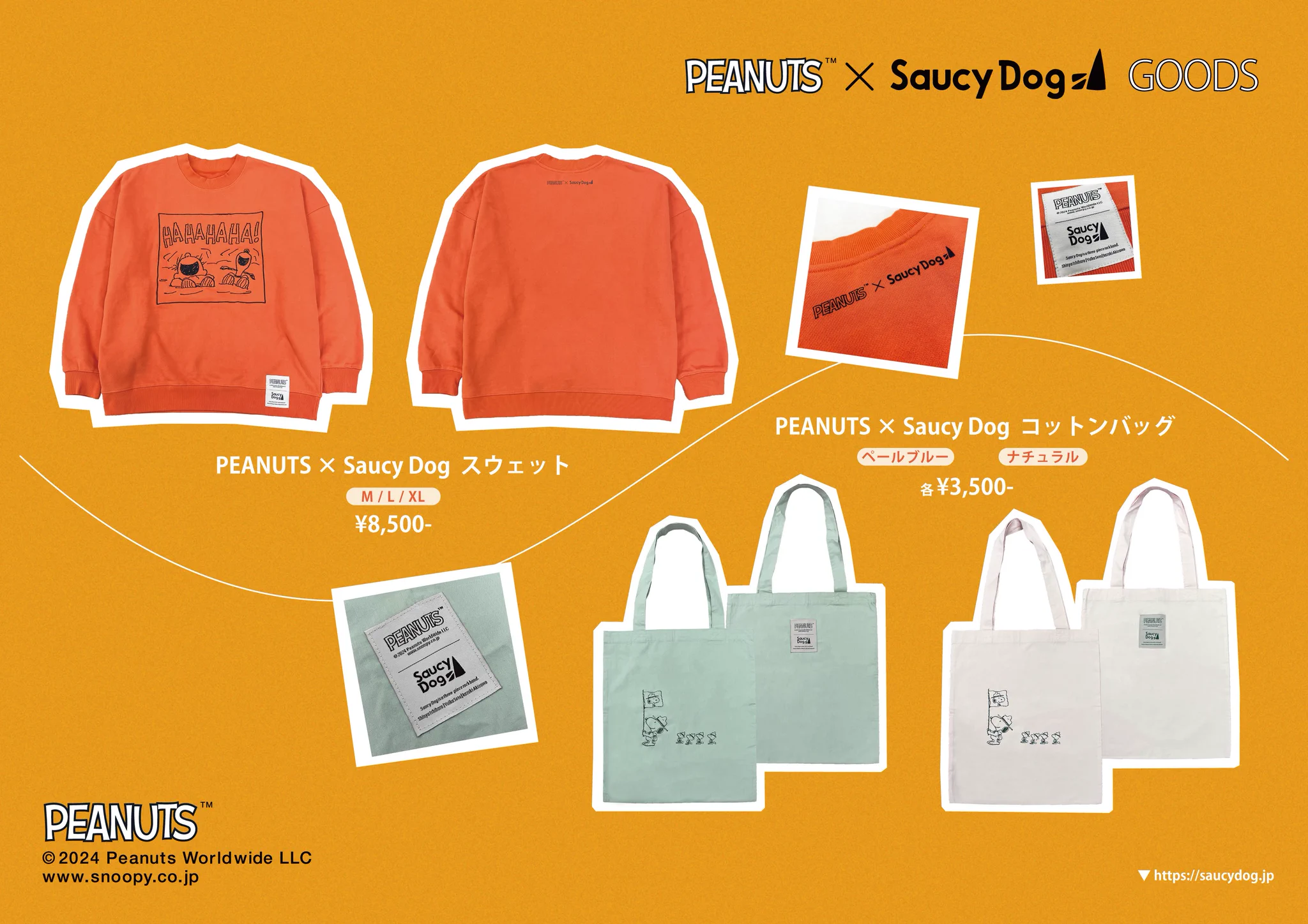 Saucy Dog on X: 