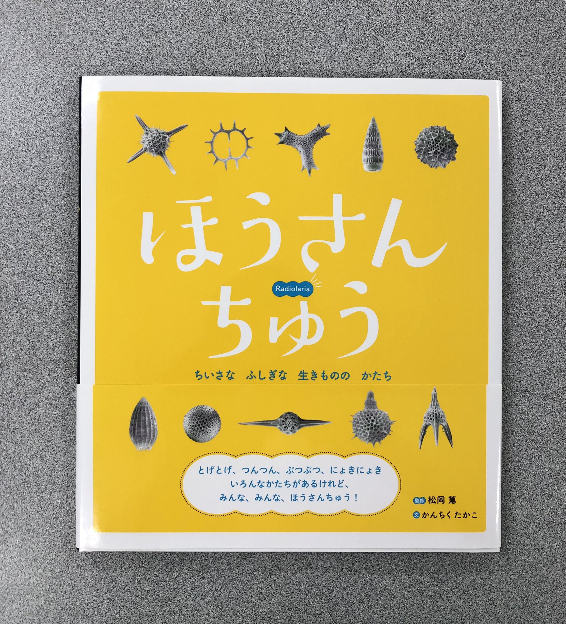 受験自学　化学指針　古書 61kWWPnNEBL._UF350,350_QL50_.jpg