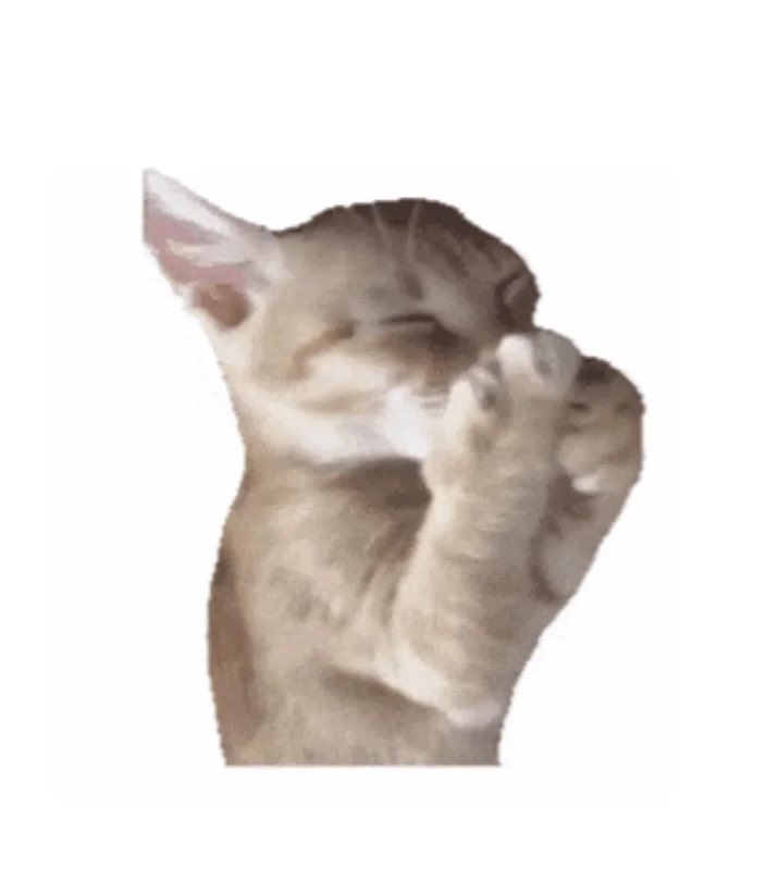 iuskasui's tweet image. 🤲🏻😆

#KiiiKiii #키키 #SUI #수이