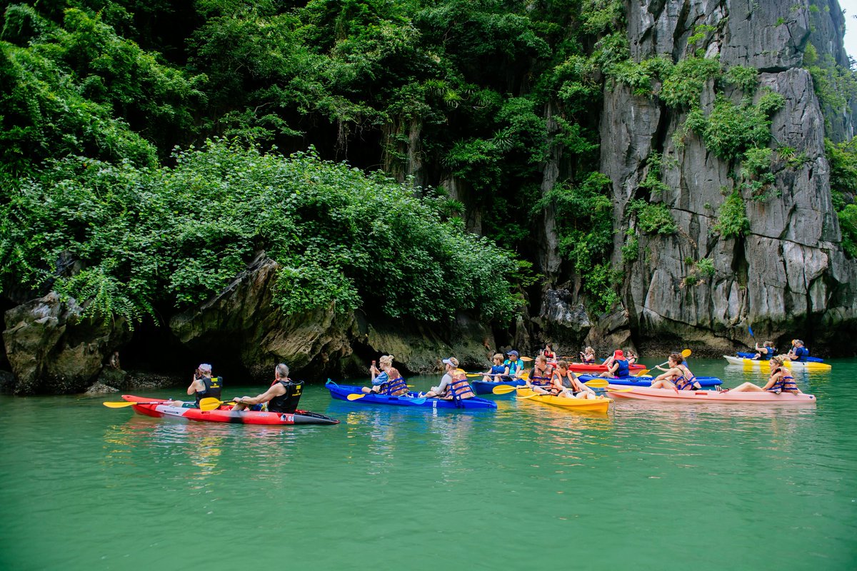 IndochinaSails's tweet photo. Set sail on a breathtaking adventure through Ha Long Bay with Indochina Sails, where luxury and nature blend seamlessly. Explore pristine beaches, hidden caves, and charming floating villages, all while indulging in world-class cuisine and exceptional service. https://t.co/WiDsoBjokh