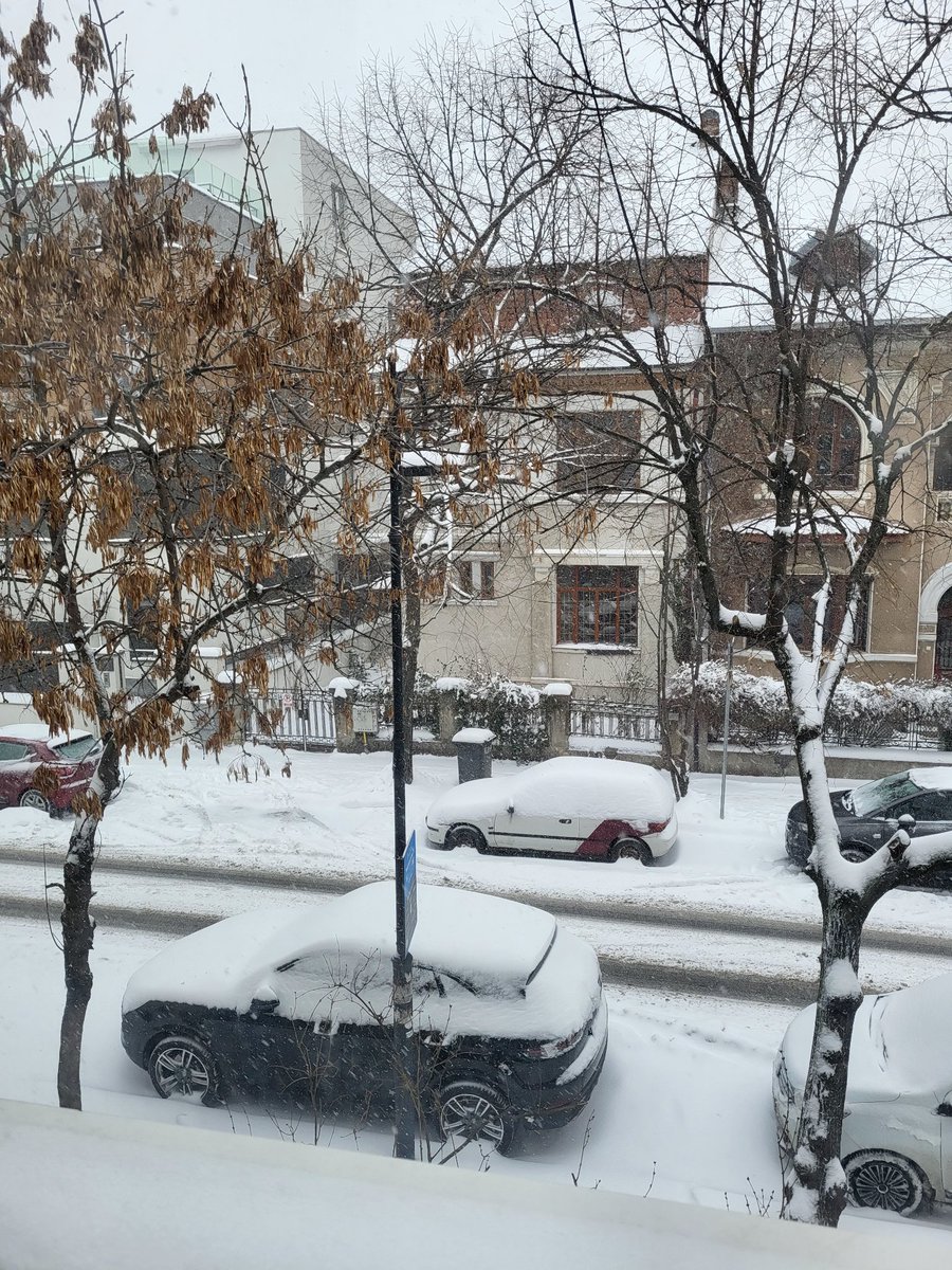 babacrypto44's tweet photo. GM Fam!
βοΈ Winter is hear π₯Ά
Not going out today... I will stay home trading ! WTBU ?
#Solanawinter #SolanaNFTs #Cryptobaba https://t.co/2TV7ylfD59