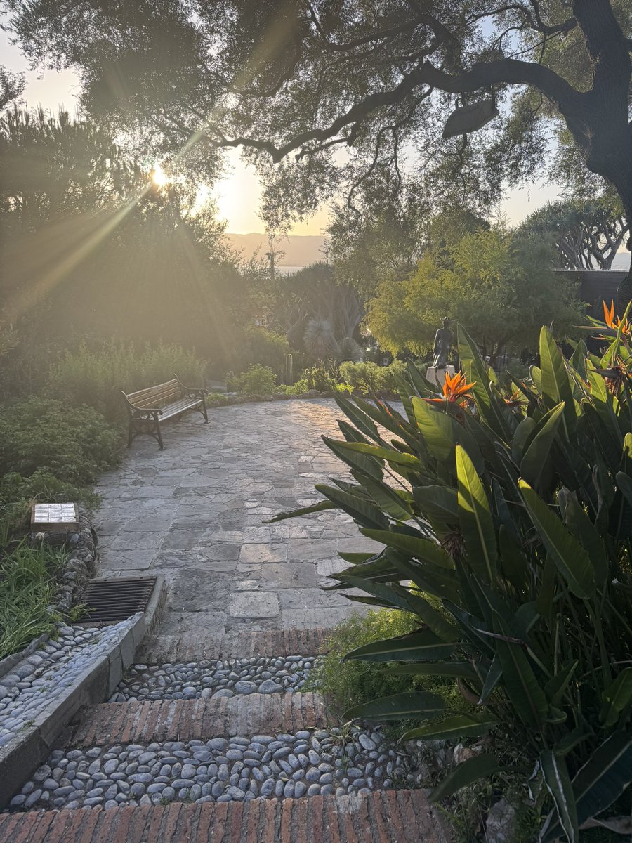 . . . and the glorious sunsets and the figtrees in the Alameda gardens…